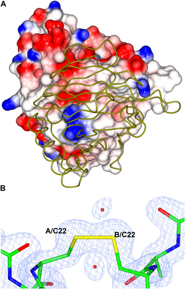 FIGURE 12