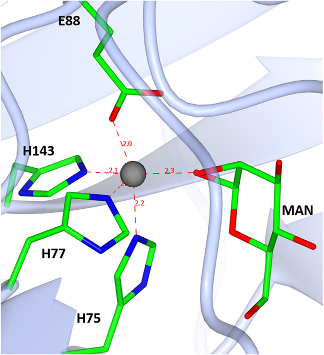 FIGURE 11