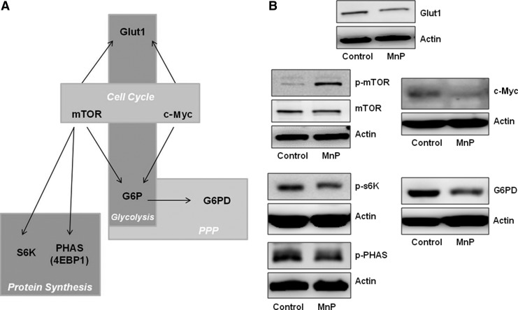 FIG. 7.