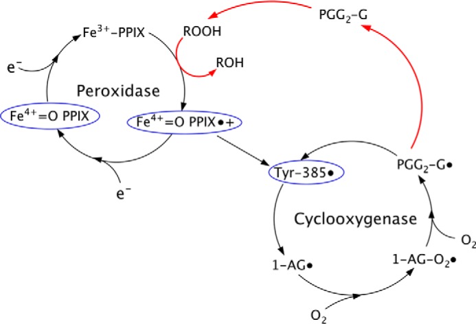 FIGURE 9.