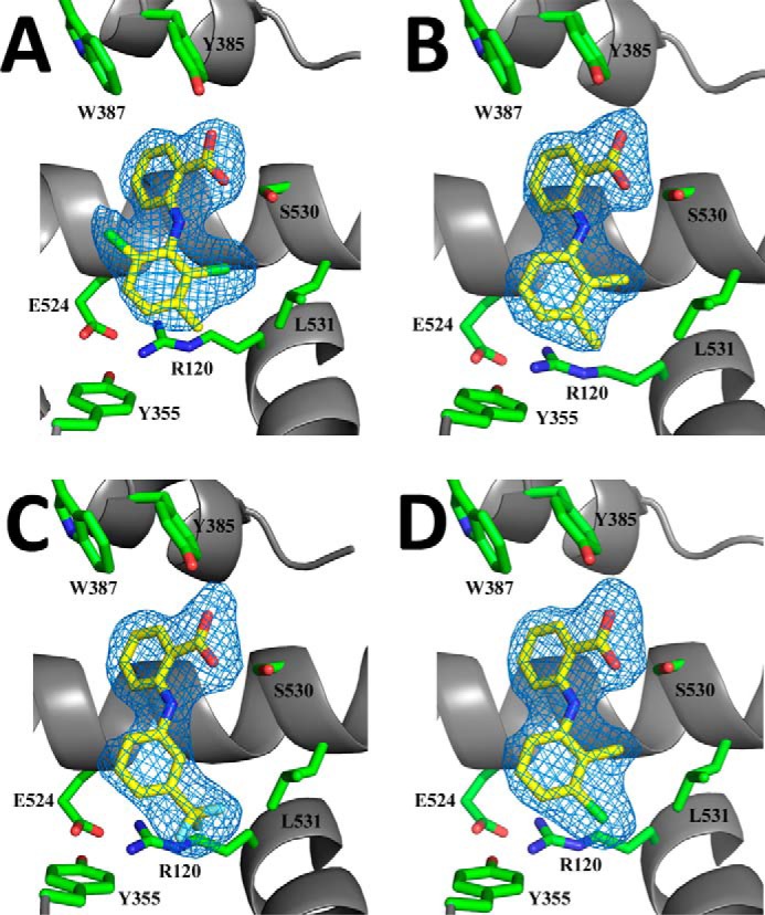 FIGURE 1.