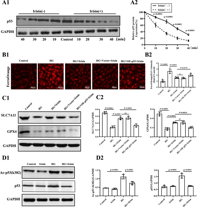 Fig. 6