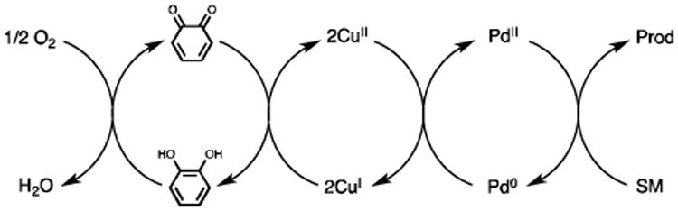 Scheme 2