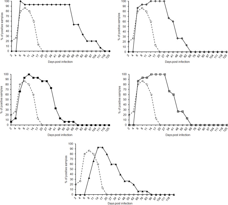 Rocket and Two Dimensional Immunoelectrophoresis in Diagnosis of ...