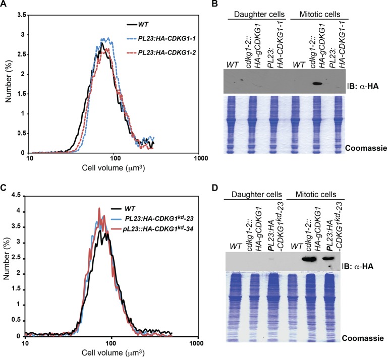 Figure 6—figure supplement 2.