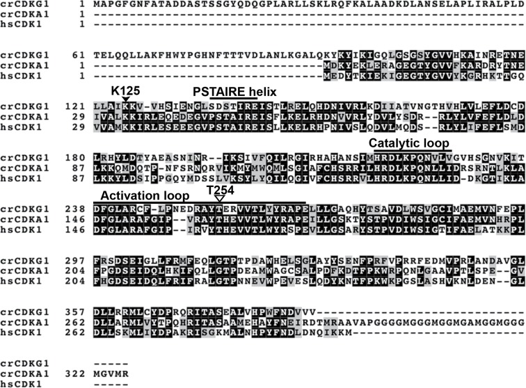 Figure 2—figure supplement 1.