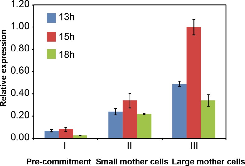 Figure 4—figure supplement 1.