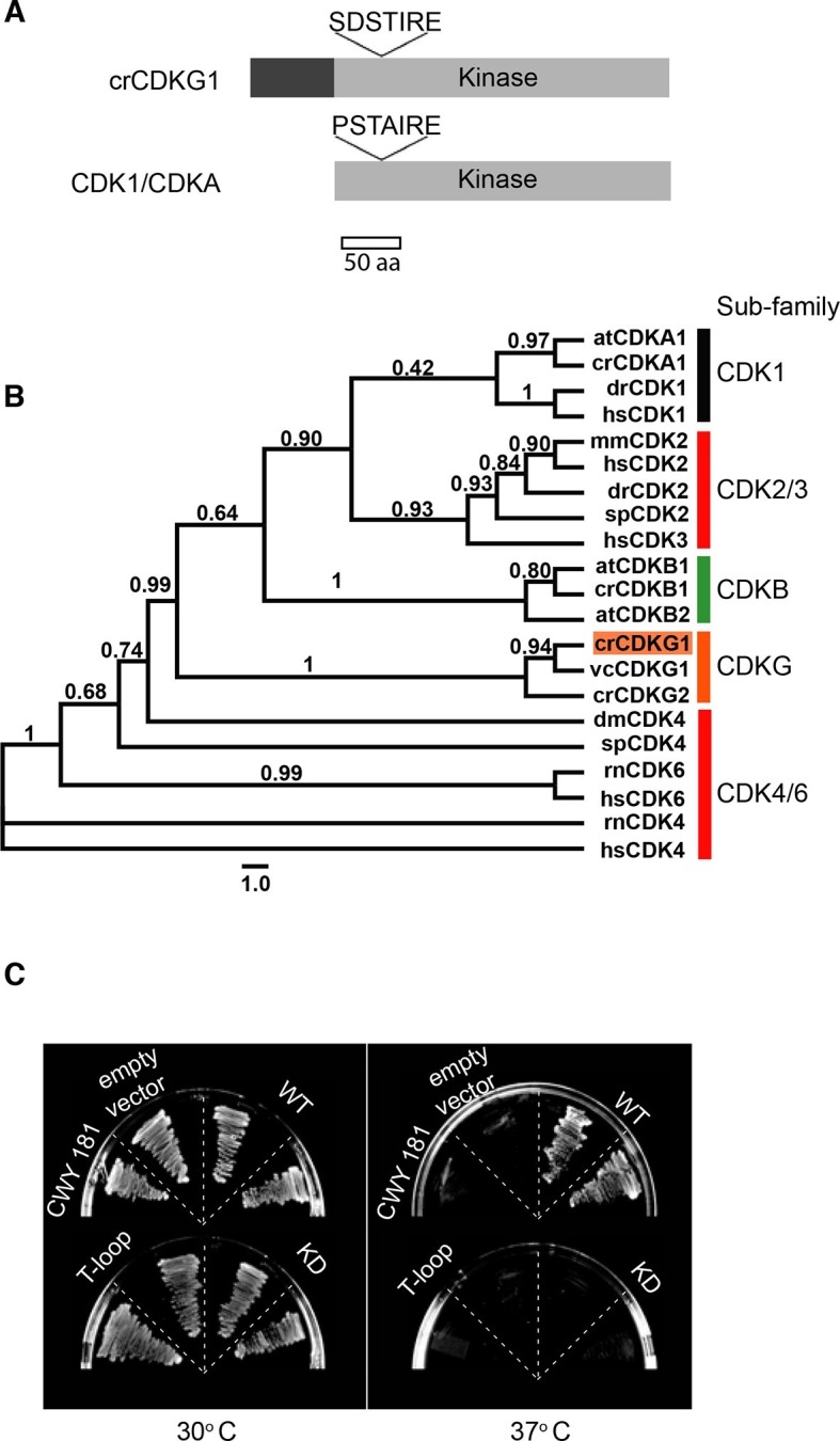 Figure 2.