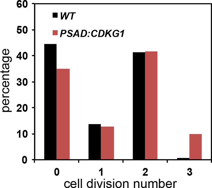 Figure 6—figure supplement 1.