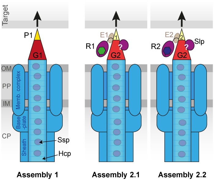 Fig 8