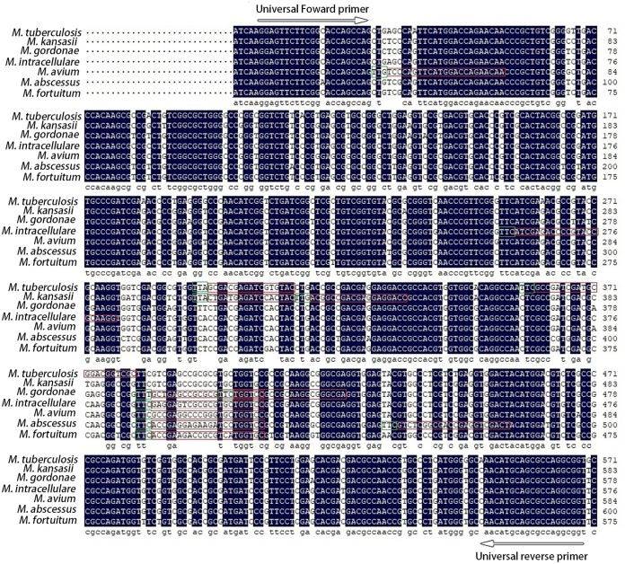 FIG 1