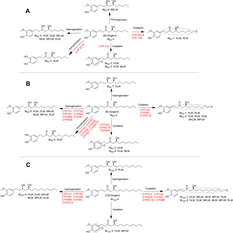 Fig. 6