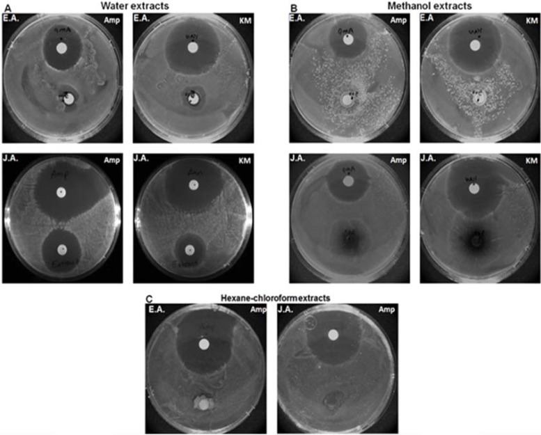 Fig. (1)