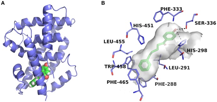 Figure 5