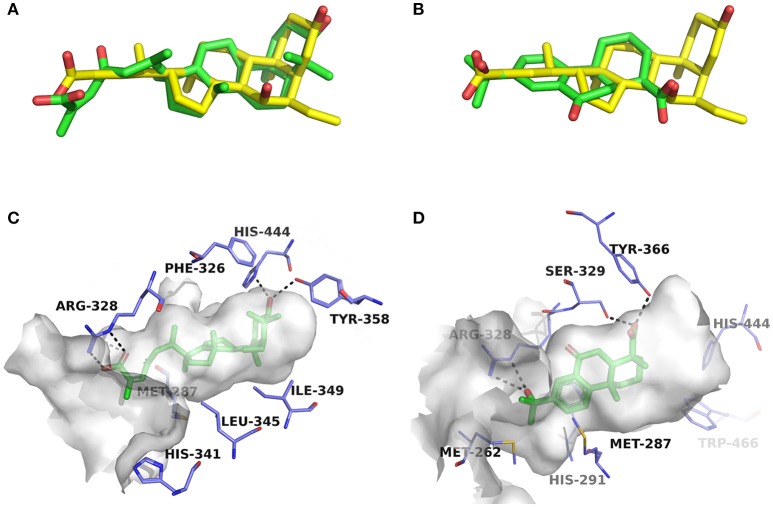 Figure 4