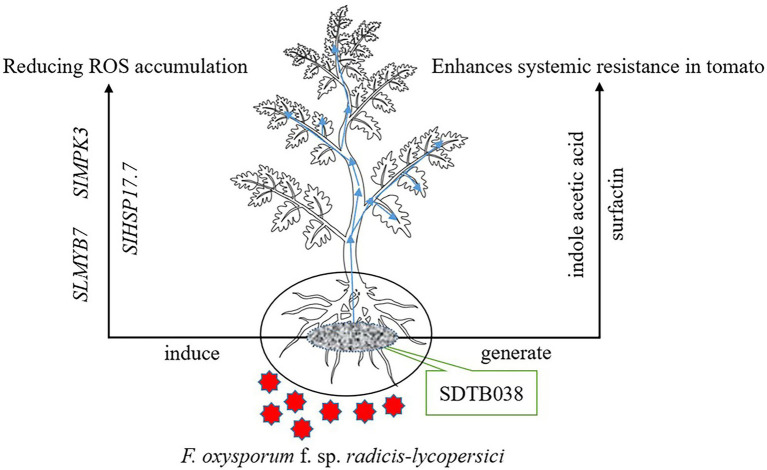 Figure 7