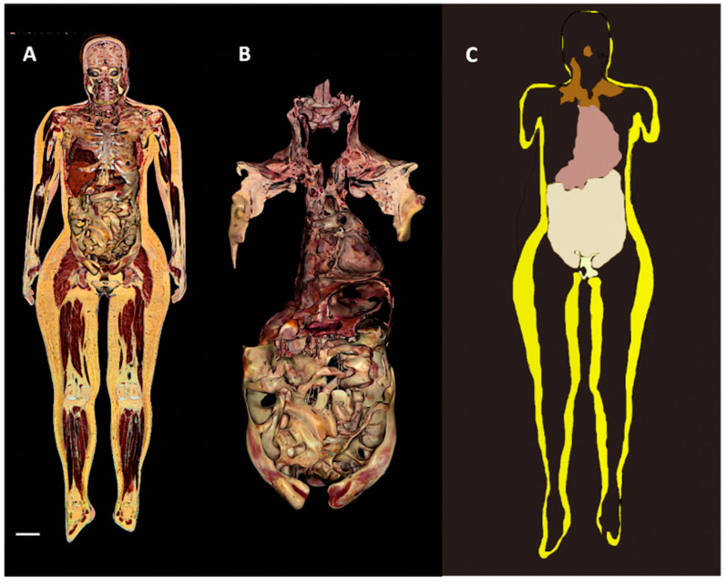 Figure 7