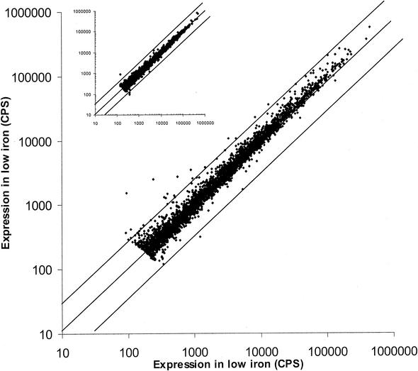 FIG. 2.