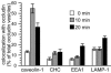 Figure 9.