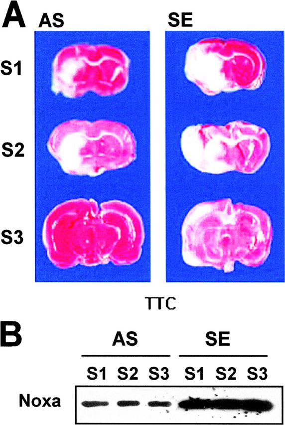 Figure 9.