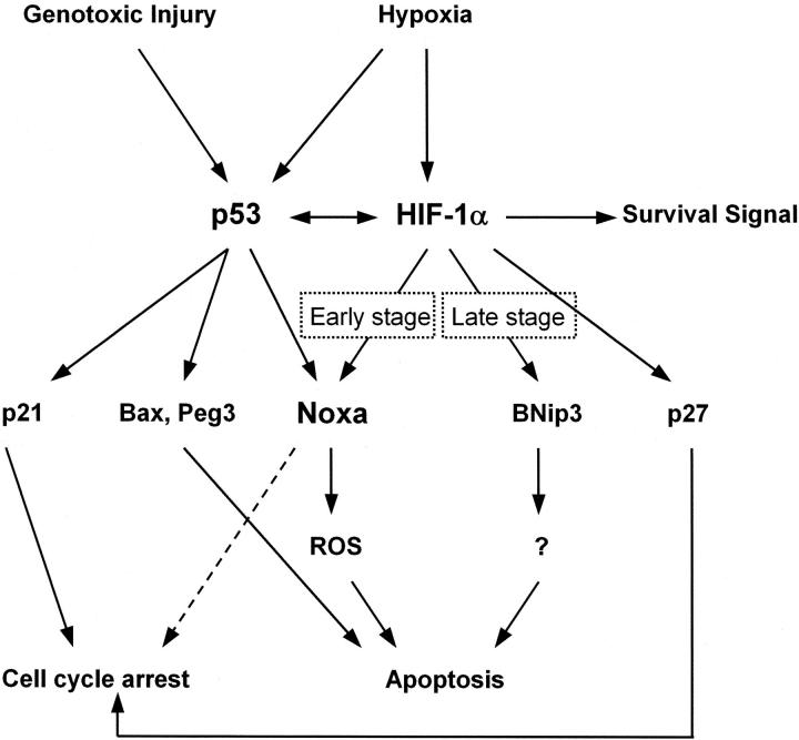 Figure 10.