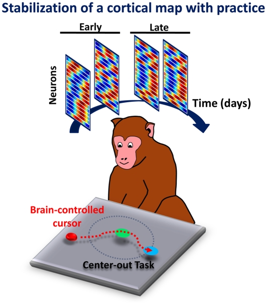 The primate brain is able to form a map for neuroprosthetic control that meets all the essential properties of memory—that is, stable, readily recalled, and resistant to interference.