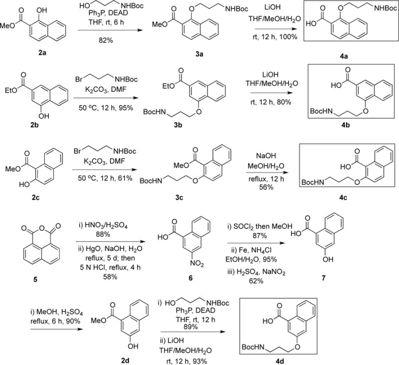 Scheme 1