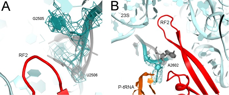 Figure 2—figure supplement 1.