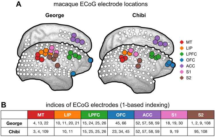 Figure 2—figure supplement 4.