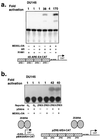 FIG. 7