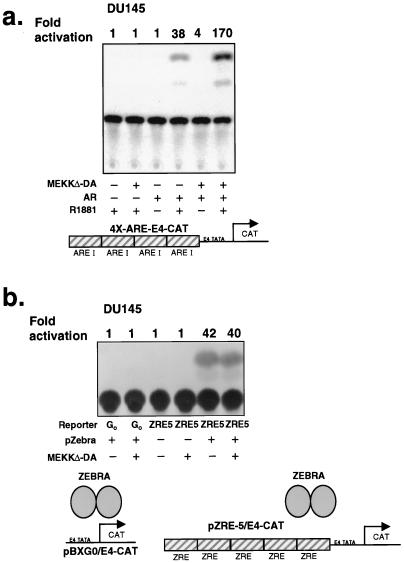 FIG. 7