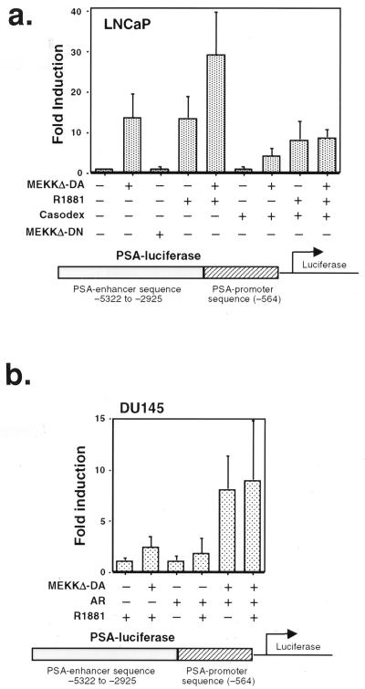 FIG. 6