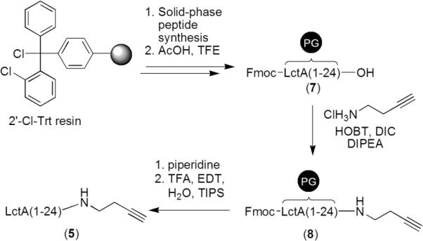 Scheme 1