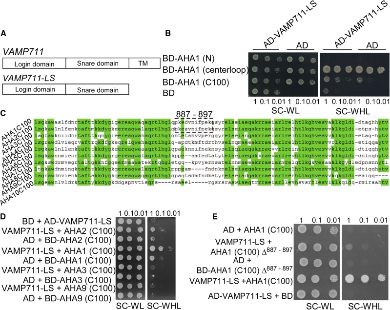 Figure 2.