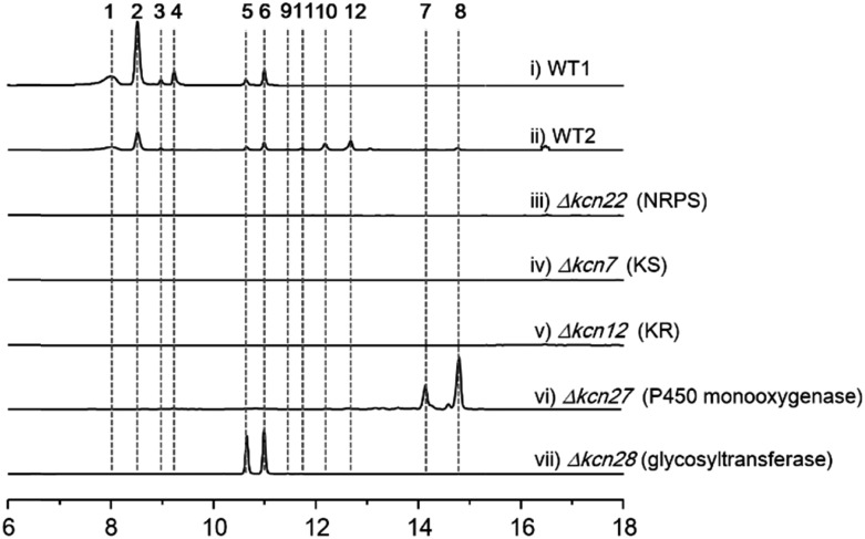 Fig. 1