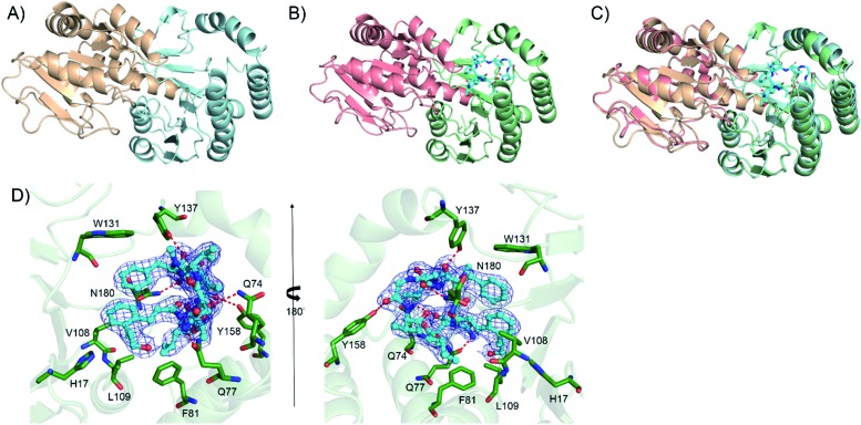 Fig. 4