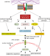 Fig. 4