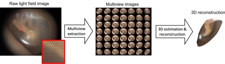 Fig. 9