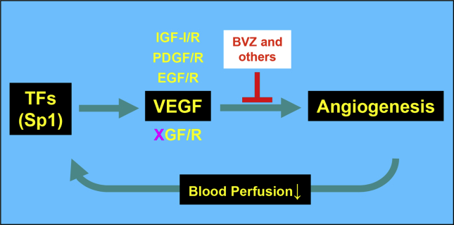 Figure 3