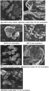 Fig. 30