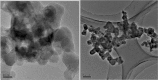 Fig. 32