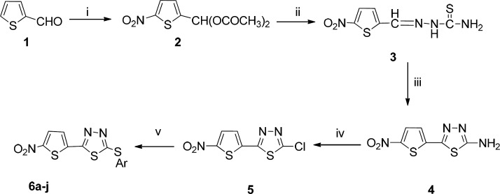 graphic file with name ijpr-18-1816-g002.jpg