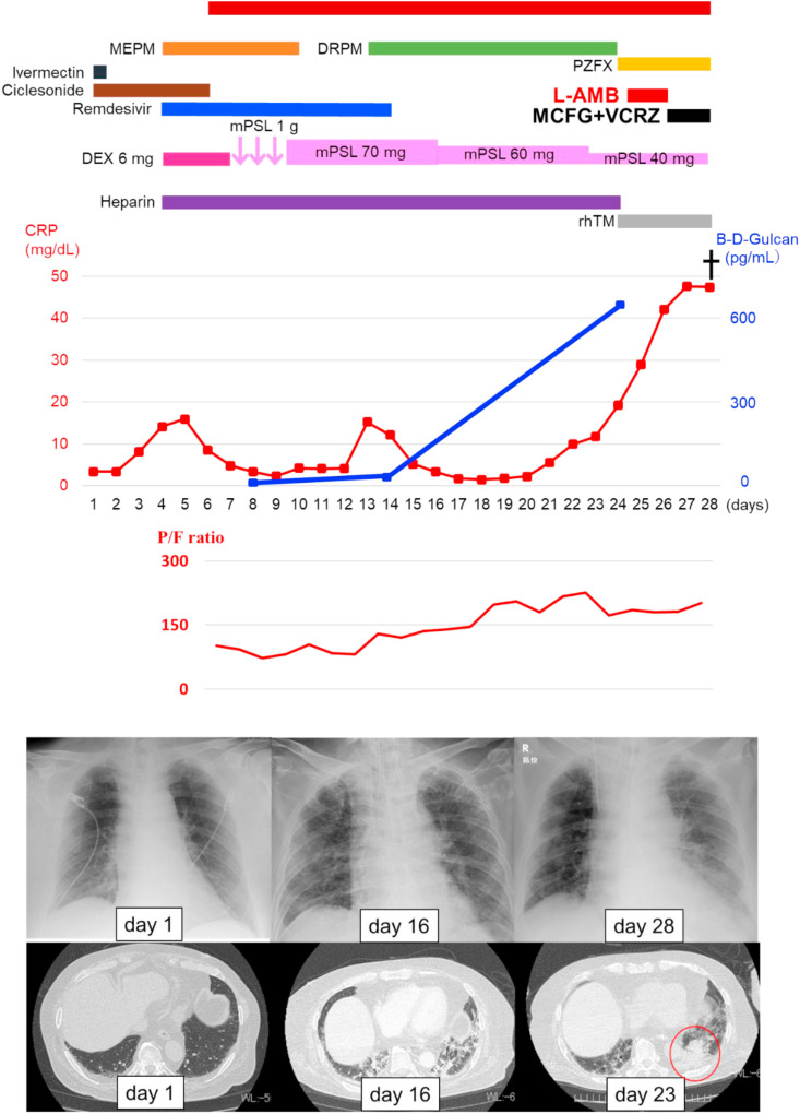 Fig. 4