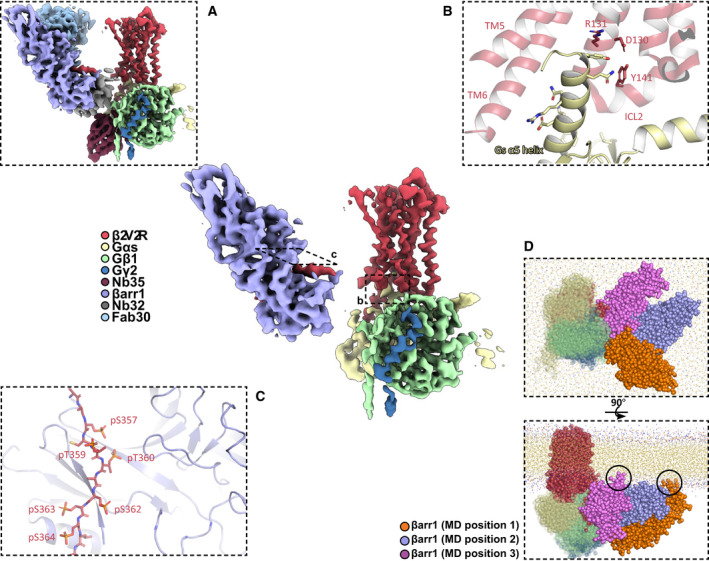 Fig 3