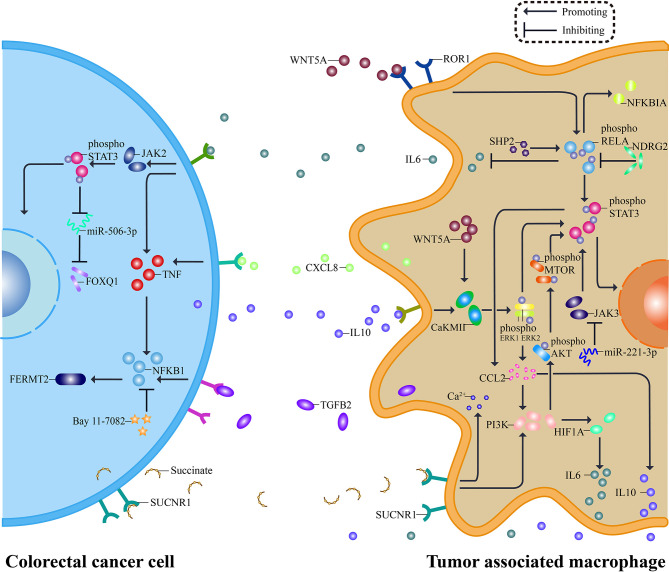 Figure 2