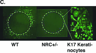 FIG. 6.