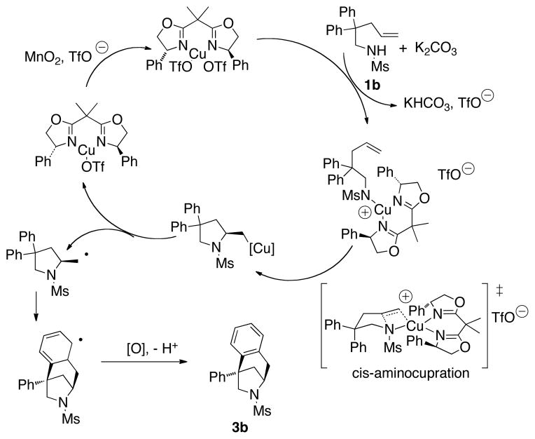 Scheme 3