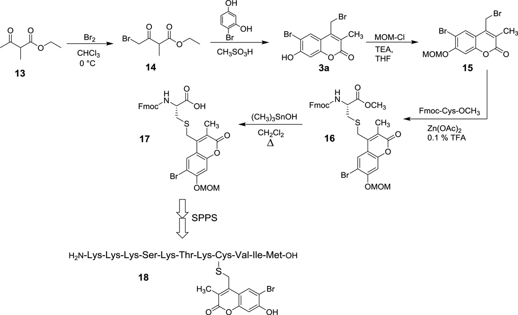 Scheme 4