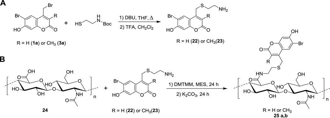 Scheme 5