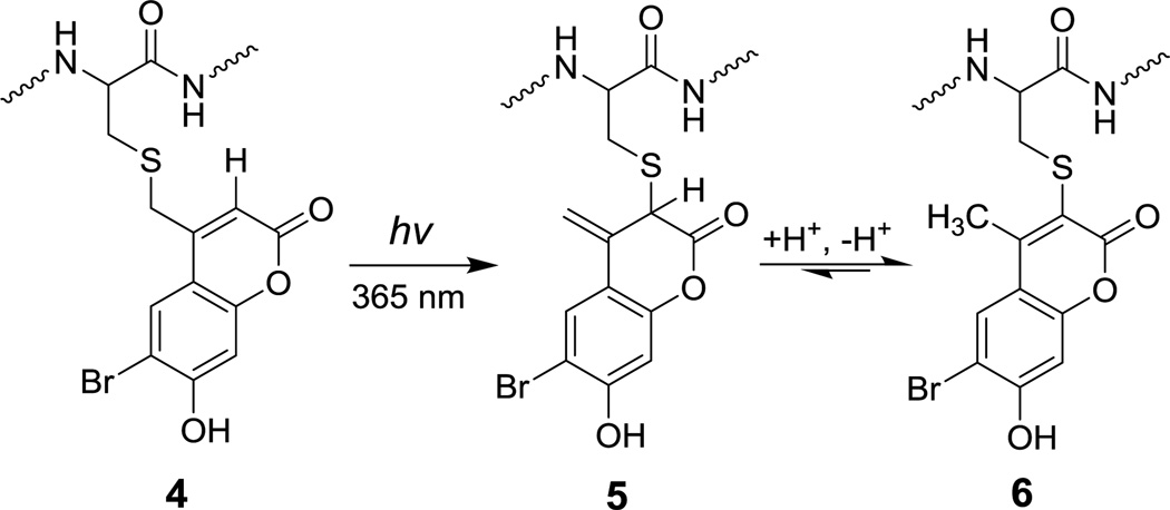 Scheme 2